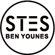 Logo STES