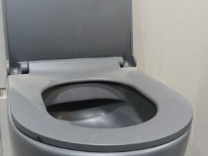 Cuvette suspendue KINDOS – Gris Mat